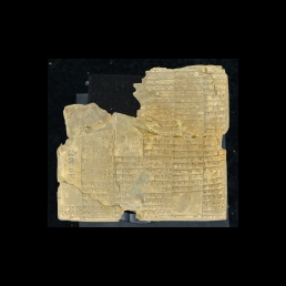 RTI (reverse)