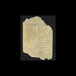RTI (reverse)