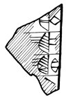 Lineart