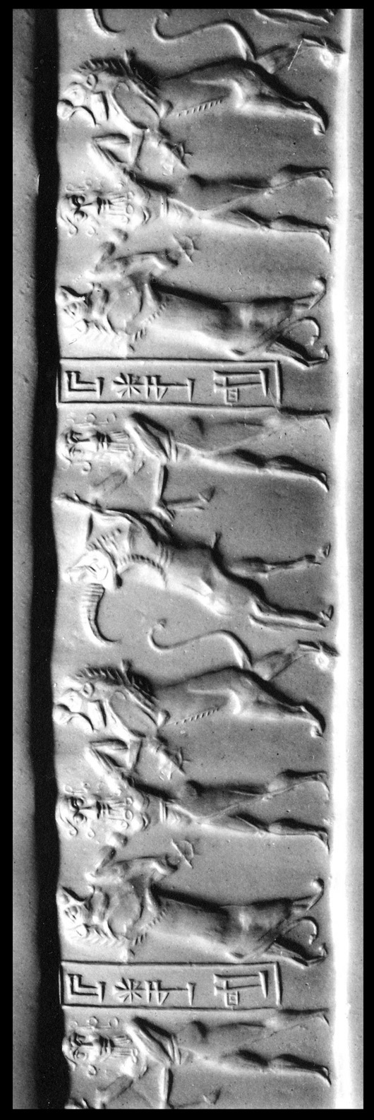 Photo (detail)