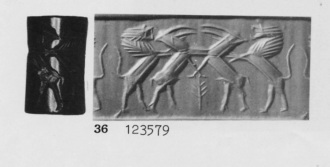 Photo (detail)