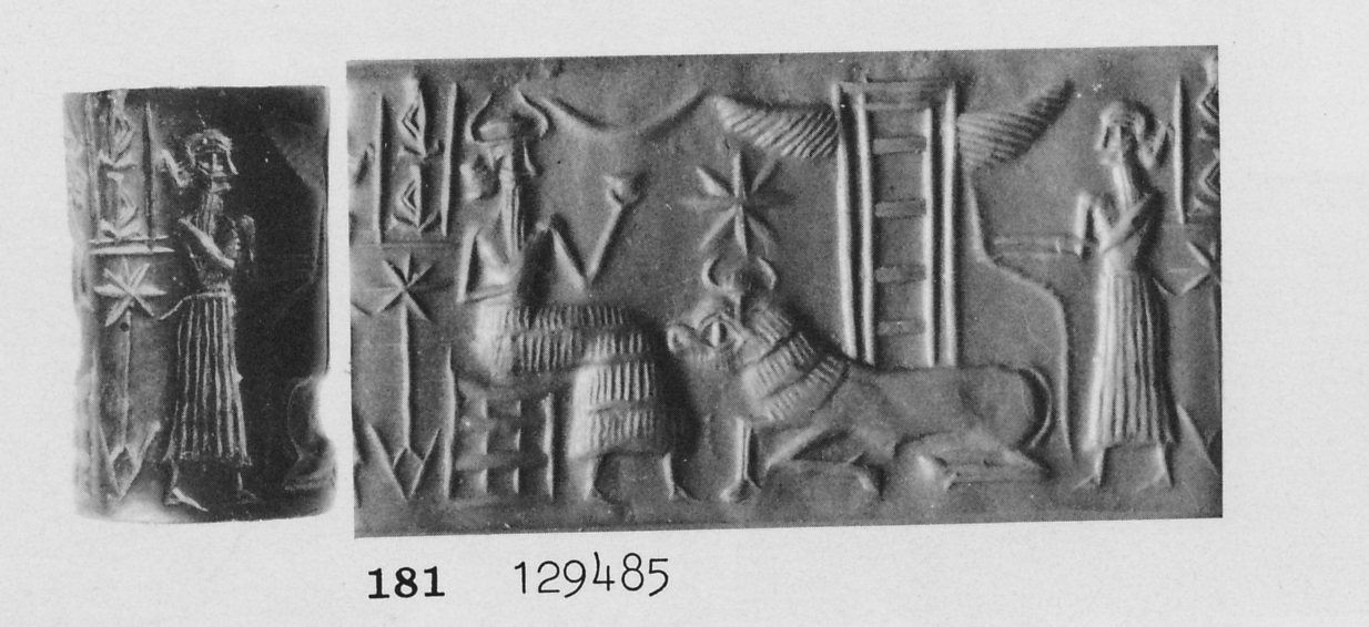 Photo (detail)