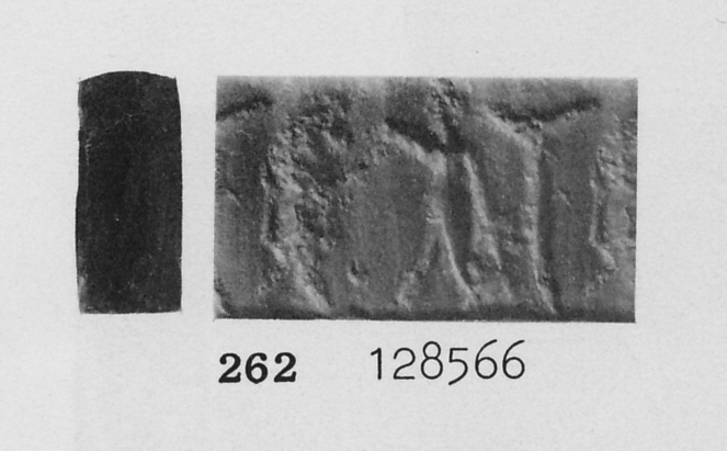 Photo (detail)