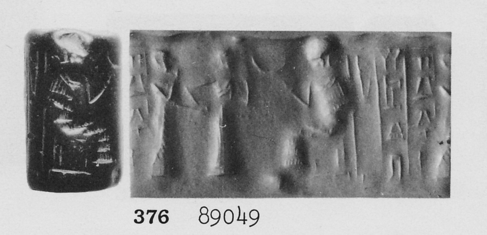 Photo (detail)