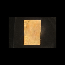 RTI (reverse)