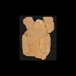 RTI (obverse)