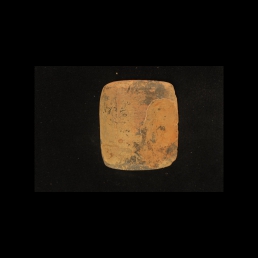 RTI (reverse)