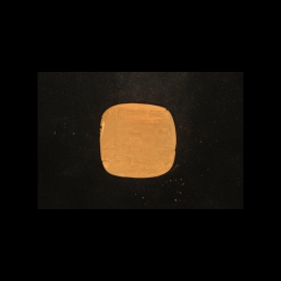 RTI (reverse)