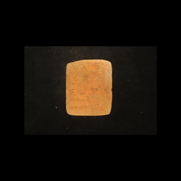 RTI (reverse)