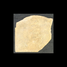 RTI (reverse)