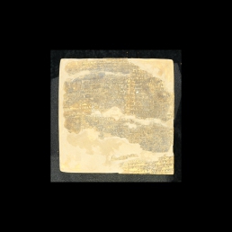 RTI (reverse)