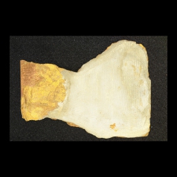 RTI (reverse)