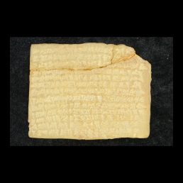 RTI (reverse)