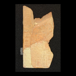 RTI (obverse)