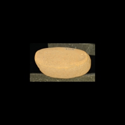 RTI (bottom edge)