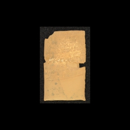 RTI (reverse)