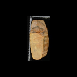 RTI (right edge)