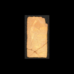 RTI (reverse)