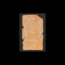 RTI (reverse)
