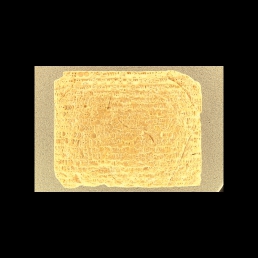 RTI (obverse)
