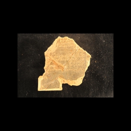 RTI (reverse)