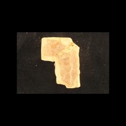 RTI (obverse)