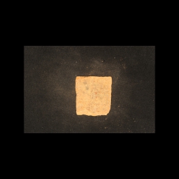 RTI (reverse)