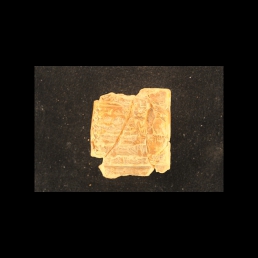 RTI (reverse)