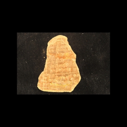 RTI (obverse)