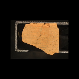 RTI (reverse)