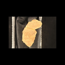 RTI (reverse)