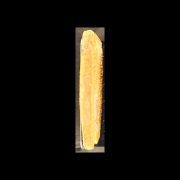 RTI (left edge)