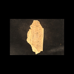 RTI (obverse)