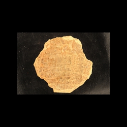 RTI (reverse)