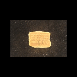 RTI (reverse)