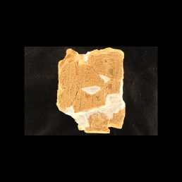 RTI (reverse)