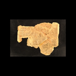 RTI (reverse)
