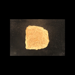 RTI (obverse)