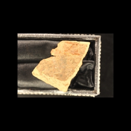 RTI (reverse)