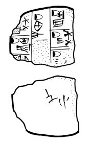Lineart