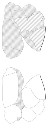 Lineart