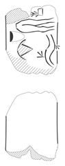 Lineart
