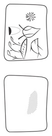 Lineart