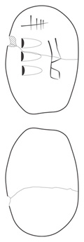 Lineart
