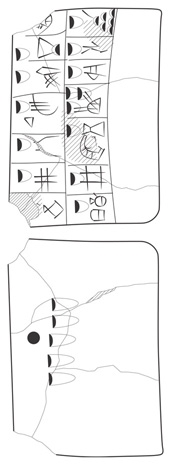 Lineart
