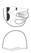 Lineart