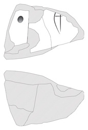Lineart