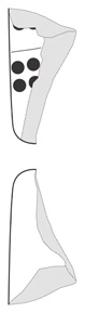 Lineart