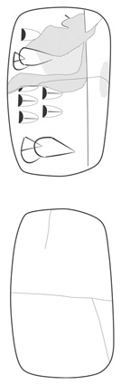 Lineart