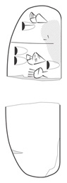 Lineart
